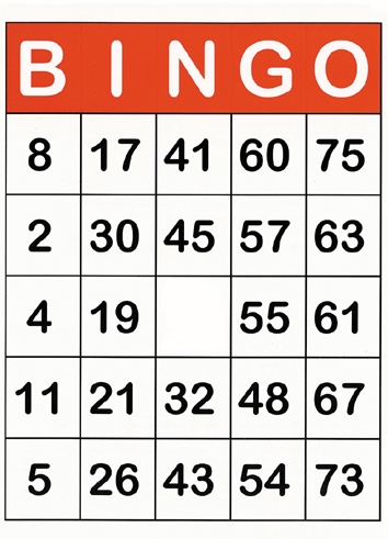 Bingo Getallen Trekken